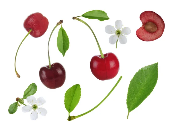 Ensemble Cerises Isolées — Photo