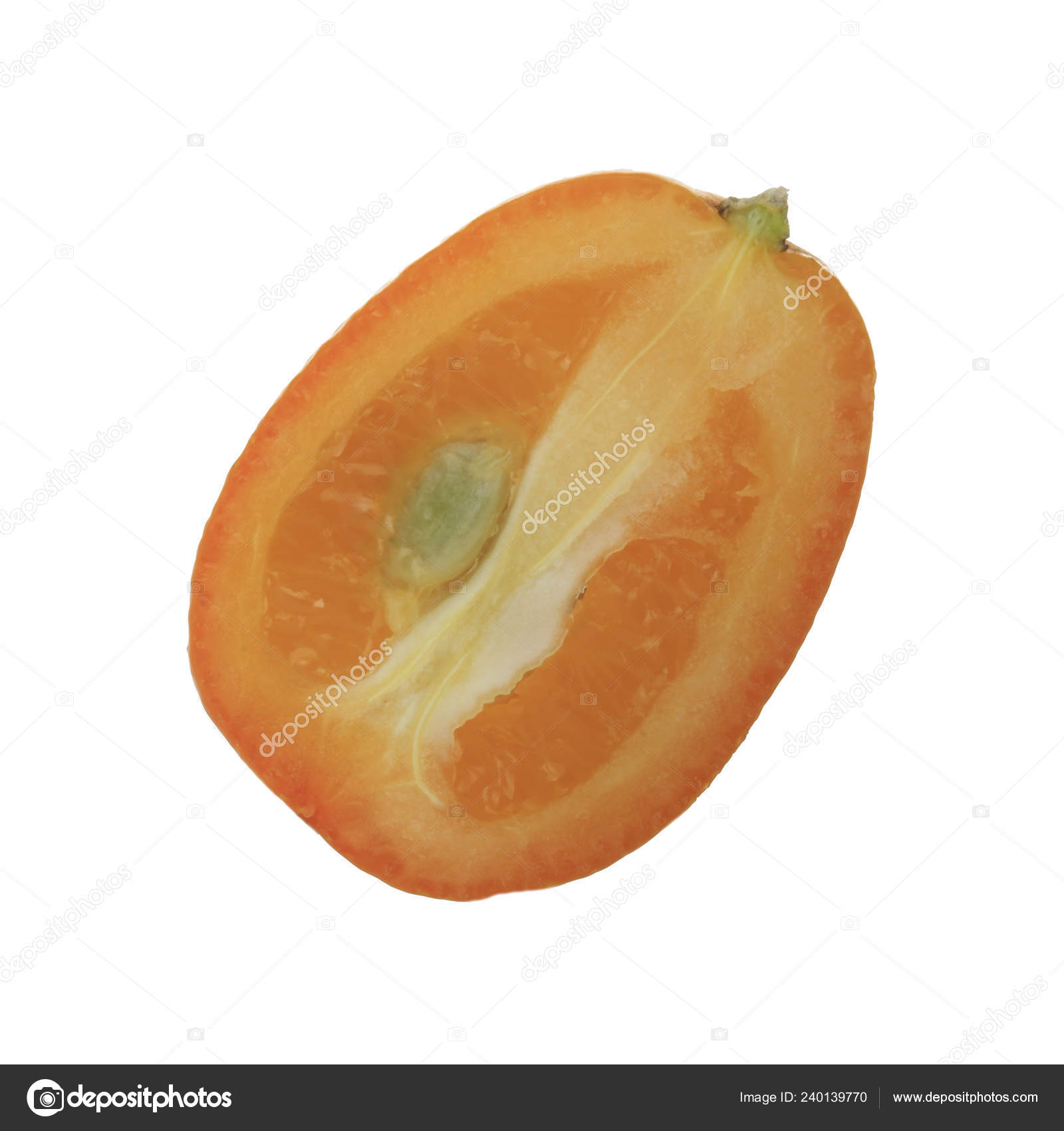 45 Cumquat-stockillustrasjoner | DepositPhotos, image size:1600x1700