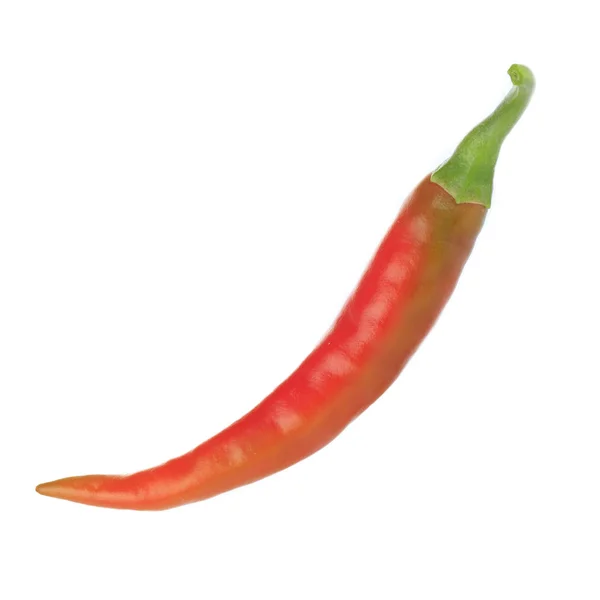 Papryka Chili Białym Tle — Zdjęcie stockowe