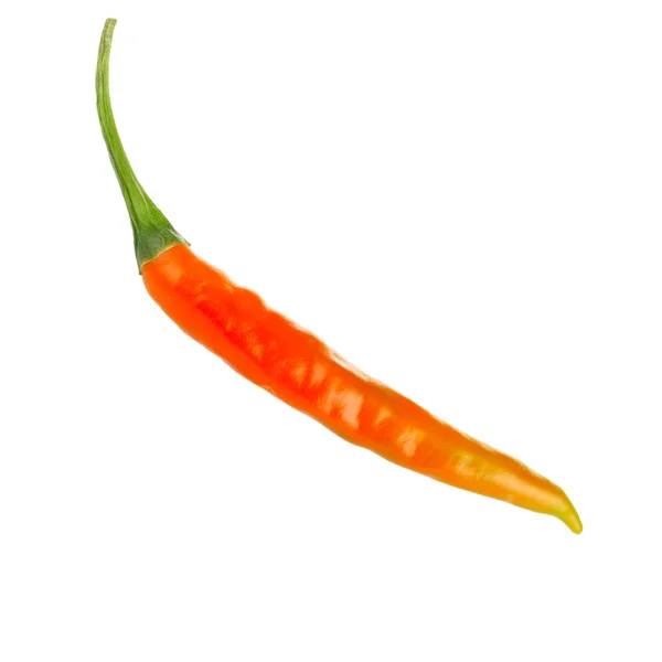 Cayenne Chili Pepper Isolated White Background — Stock Photo, Image