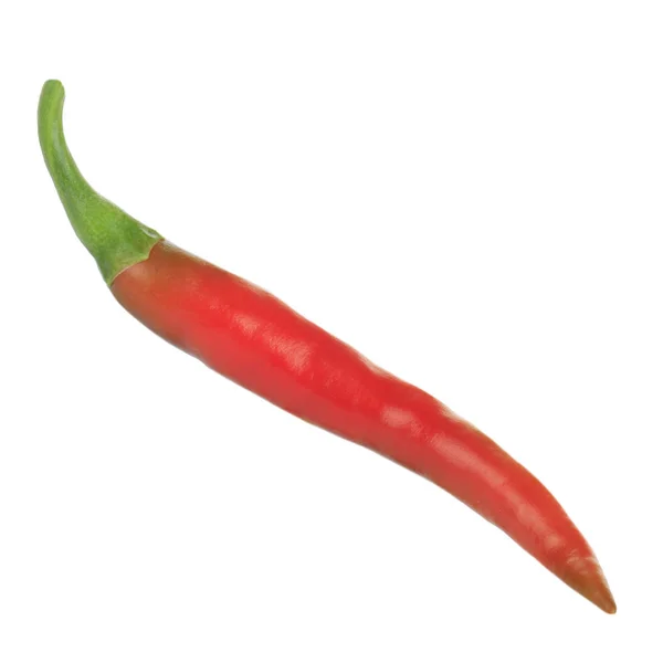 Piment Cayenne Isolé Sur Fond Blanc — Photo