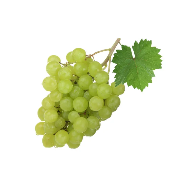 Grape Bunch Isolated White Background — Stock Photo, Image