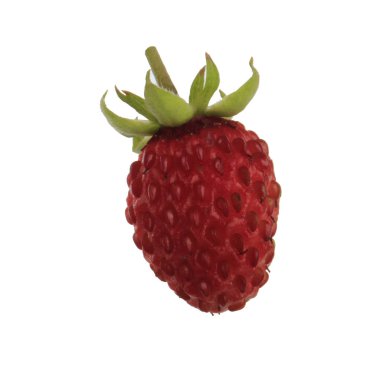 Beyaz üzerinde izole vahşi çilek closeup 