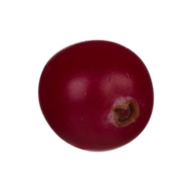 Beyaz arka planda izole kızılcık yakın çekim 