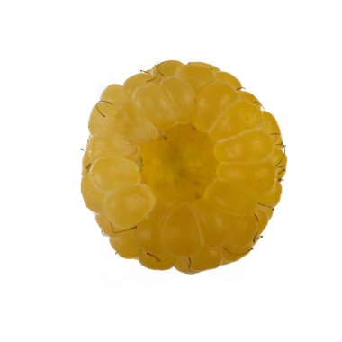 Beyaz arka plan üzerinde izole sarı ahududu