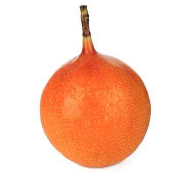 Ligularis closeup, passiflora çekim beyaz izole