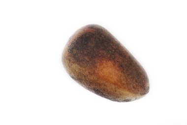 Beyaz arka plan üzerinde izole tek sedir somun