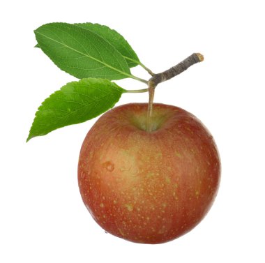Beyaz arkaplanda izole edilmiş taze elma