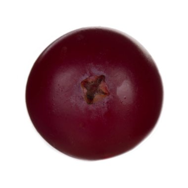 Beyaz arka planda izole kızılcık yakın çekim 