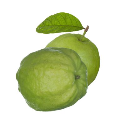 Guava Closeup, Tayland meyve beyaz izole atış