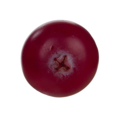 Beyaz arka planda izole kızılcık yakın çekim 