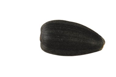 Beyaz arka planda izole ayçiçeği tohumu yakın çekim 