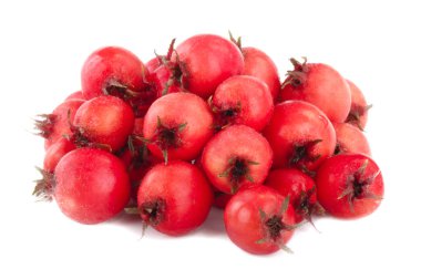 Beyaz arka plan üzerinde izole haw-berry closeup 