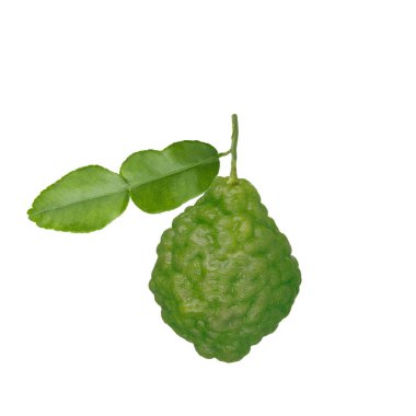 Güney Afrika'da bir kabile kireç yaprak beyaz arka plan üzerinde izole