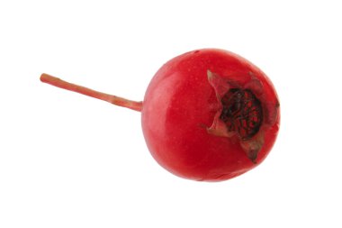 Beyaz arka plan üzerinde izole haw-berry closeup 