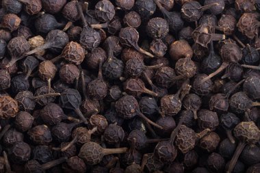 Kuru cubeba tohumları, baharat arka plan Closeup
