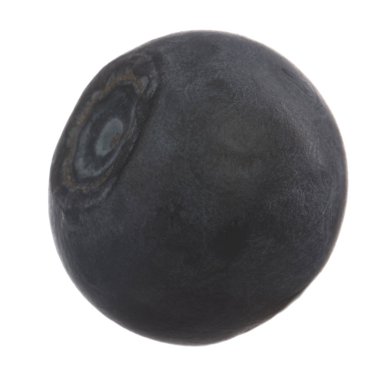 Beyaz arka planda izole yaban mersini yakın çekim 