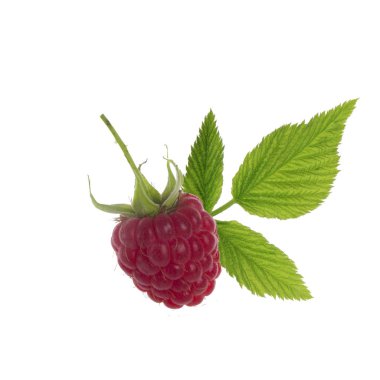 Olgun kırmızı ahududu beyaz arkaplanda izole