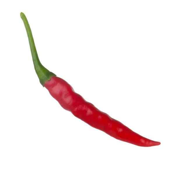 Cayenne Chili Pepper Isolated White Background — Stock Photo, Image