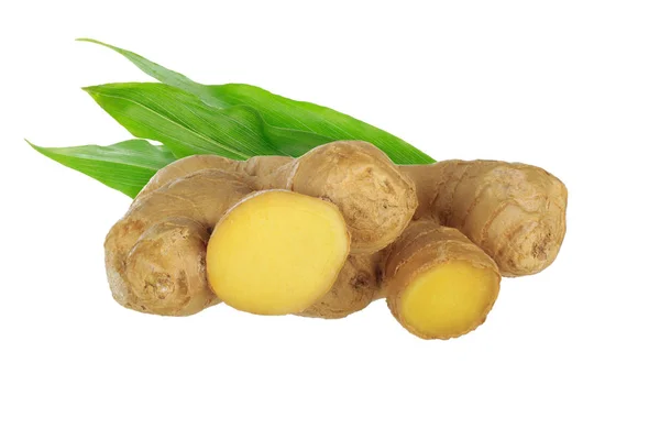 Ginger Root Isolated White Background — Stock Photo, Image