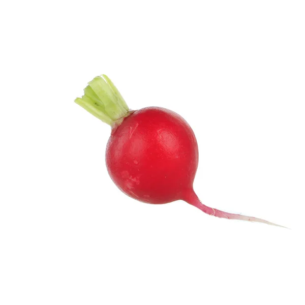 Fresh Radish Isolated White Background — Stock Photo, Image