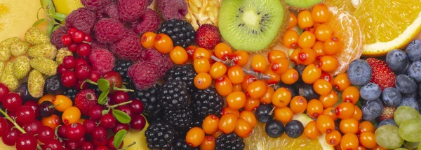 各种新鲜浆果 健康饮食理念 — 图库照片