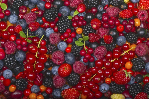 Olgun taze çilek çeşitli