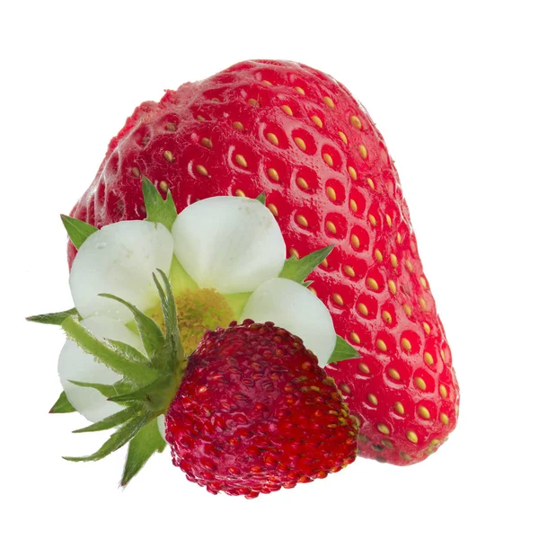 Primer Plano Fresas Frescas Antecedentes Alimentarios — Foto de Stock