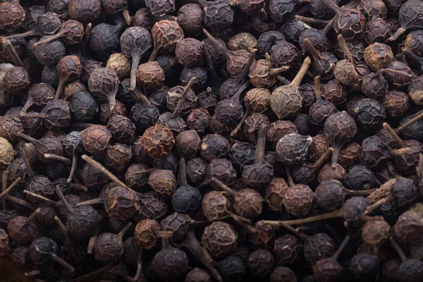 Kuru cubeba tohumları, baharat arka plan Closeup