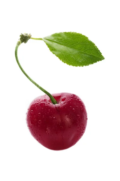 Cereza Roja Aislada Sobre Fondo Blanco — Foto de Stock