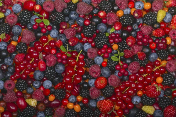 Sokféle Friss Bogyós Gyümölcsök Egészséges Táplálkozási Koncepció — Stock Fotó