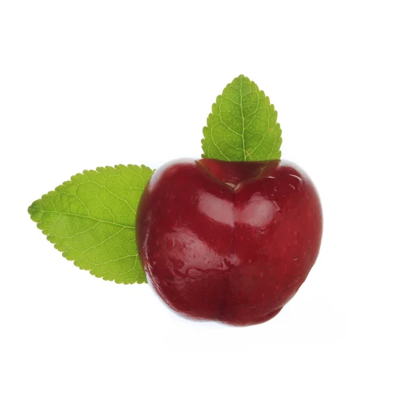 Closeup Cherry Isolated Bílém Pozadí — Stock fotografie