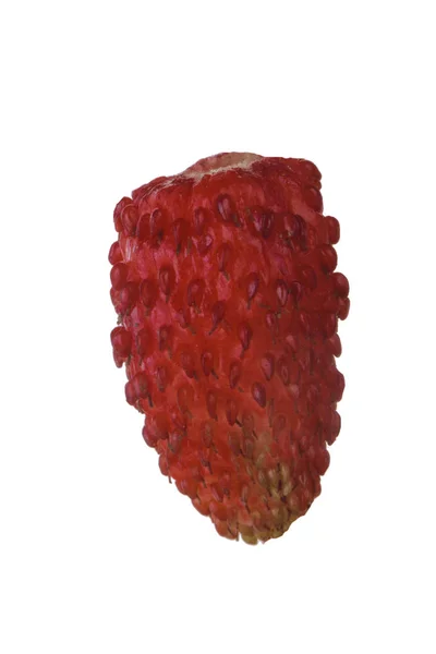 딸기의 — 스톡 사진