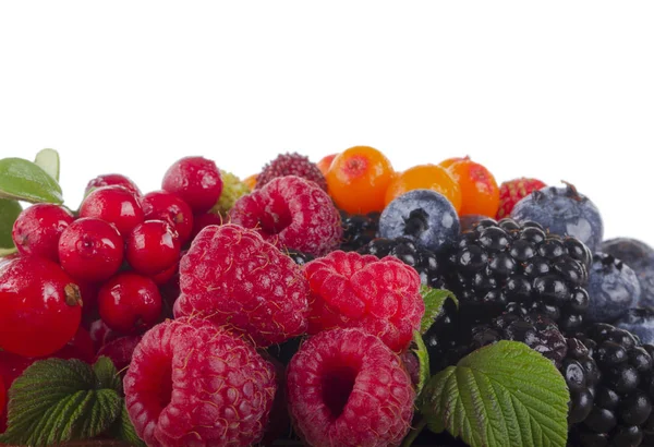 Variedad Bayas Aisladas Sobre Fondo Blanco — Foto de Stock