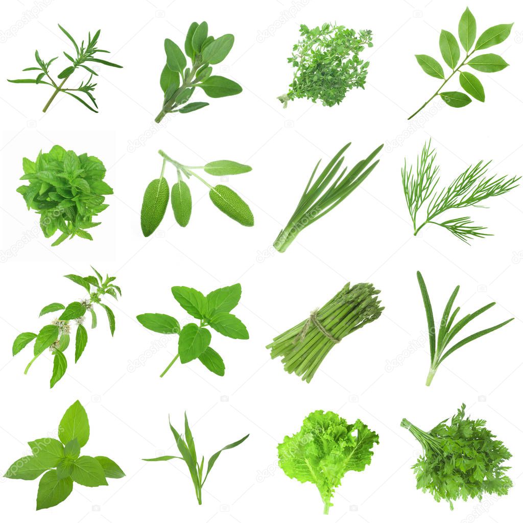 Closeup of assorted herbs isolated on white background