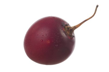 Beyaz arka plan üzerinde izole taze tamarillo