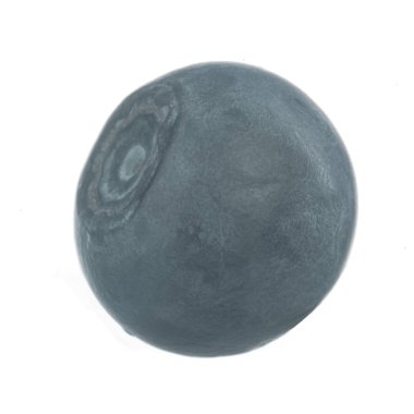 Beyaz arka planda izole yaban mersini yakın çekim 