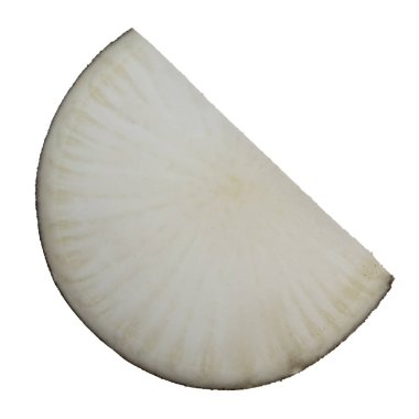 Beyaz arka planda izole raphanus closeup 