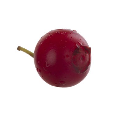 Beyaz arka planda izole edilmiş inek-berry yakın çekim 