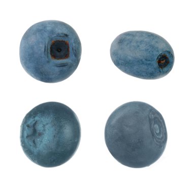 Beyaz arka planda izole yaban mersini yakın çekim 