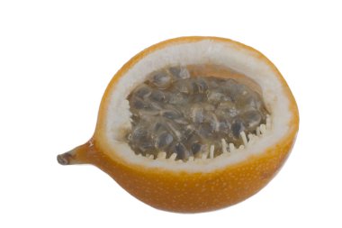 Ligularis closeup, passiflora çekim beyaz izole