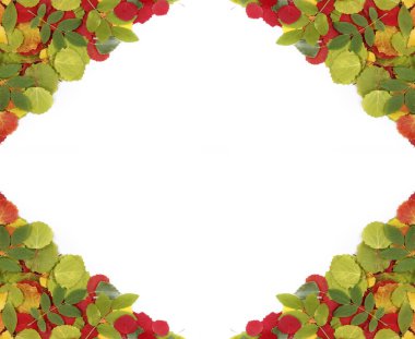 Sonbahar yapraklarından yapılmış renkli çerçeve