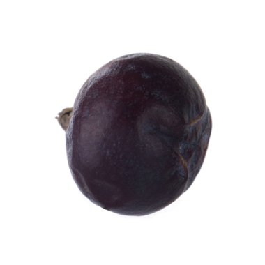 Juniper berry izole üzerinde beyaz arka plan