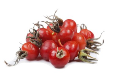 Beyaz arka plan üzerinde izole köpek rose çilek