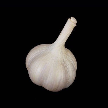 Koyu arka planda sarımsak Closeup çekim 