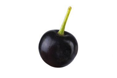 Beyaz arka planda izole edilmiş siyah frenk üzümünün yakın çekimi 