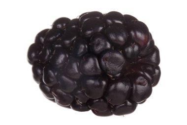 olgun böğürtlen beyaz arkaplanda izole