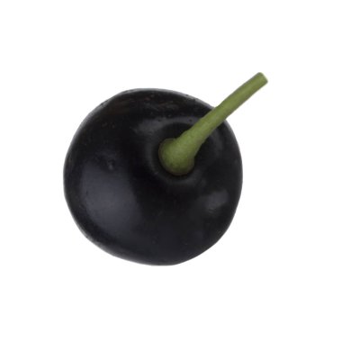 Beyaz arka planda izole edilmiş siyah frenk üzümünün yakın çekimi 