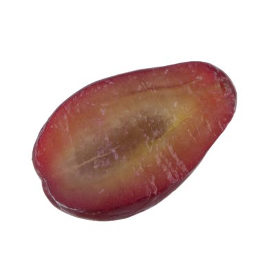 Cornel dut üzerinde izole beyaz arka plan