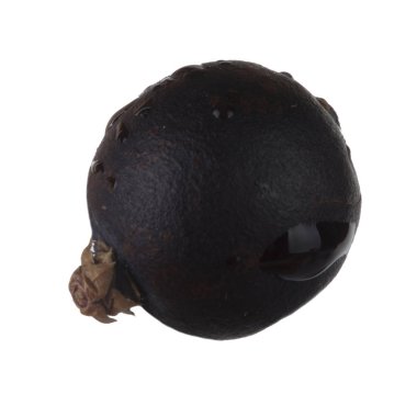 Juniper berry izole üzerinde beyaz arka plan